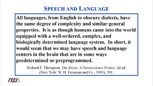 Speech and Language.png
